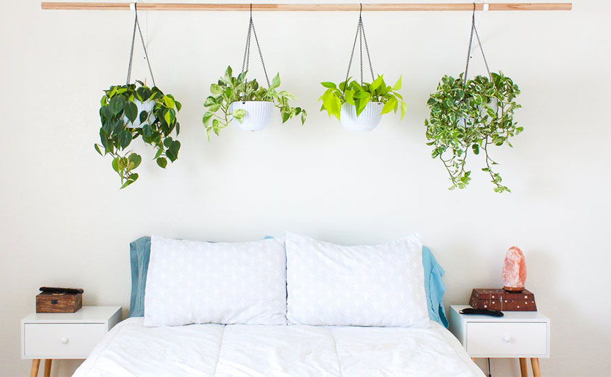 گل و گیاه در دکوراسیون